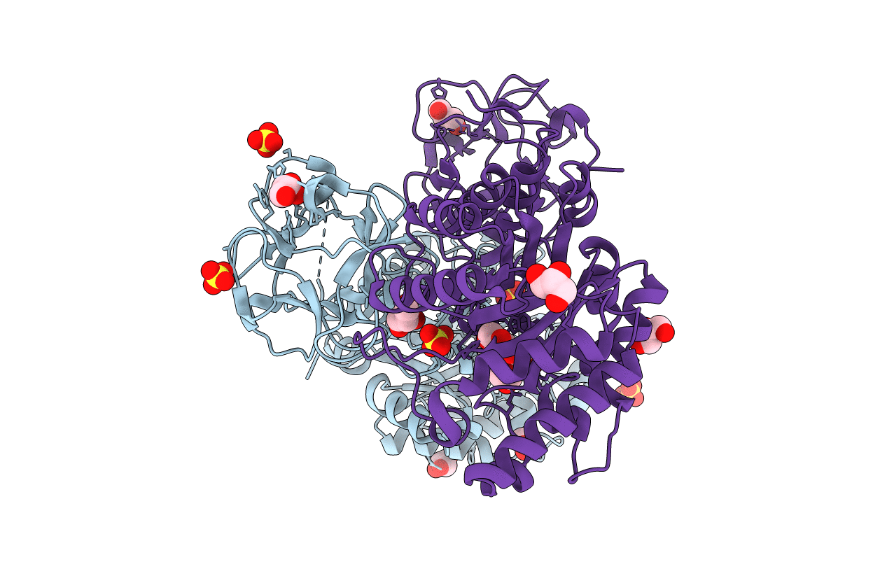 2D22 image