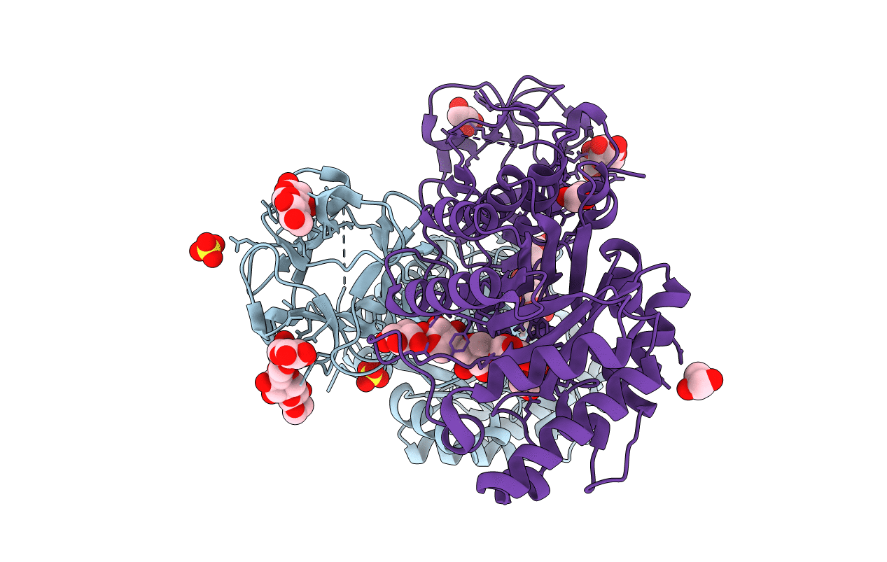 2D24 image