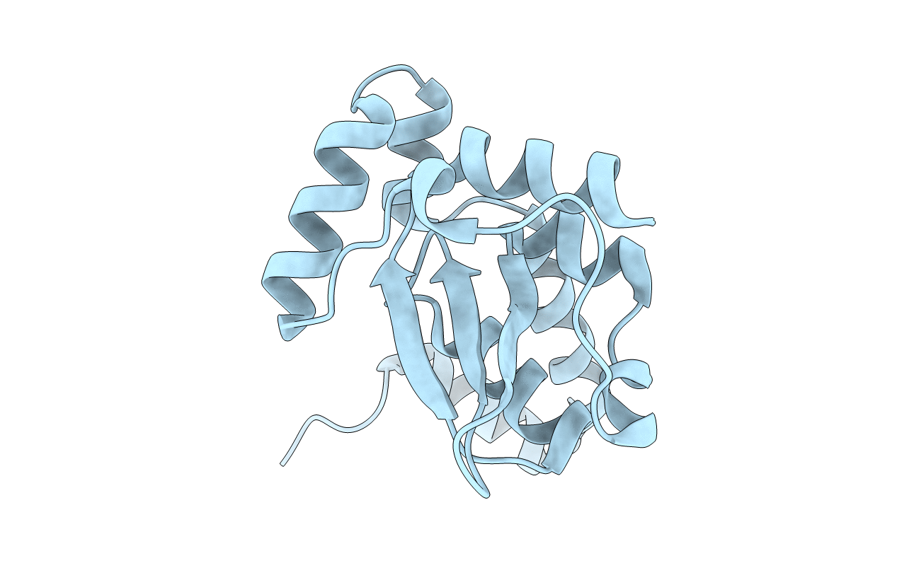 2D27 image