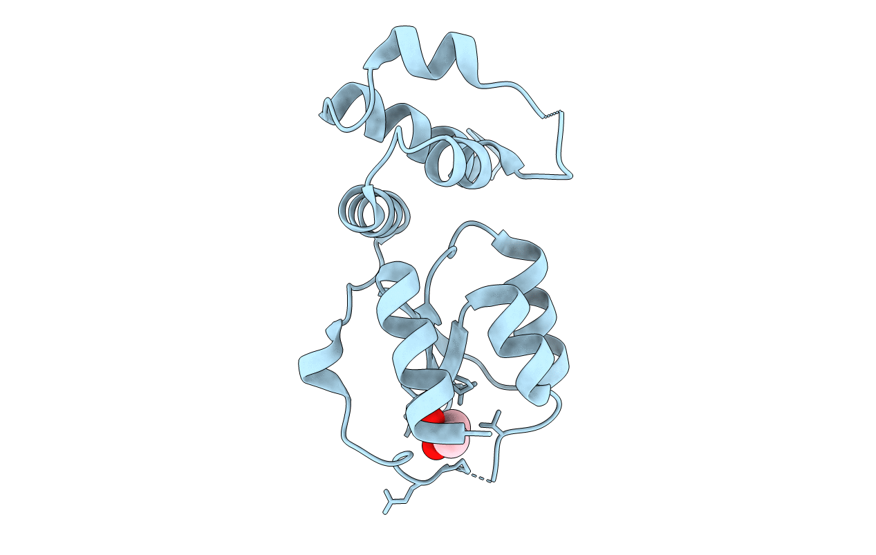 2D28 image