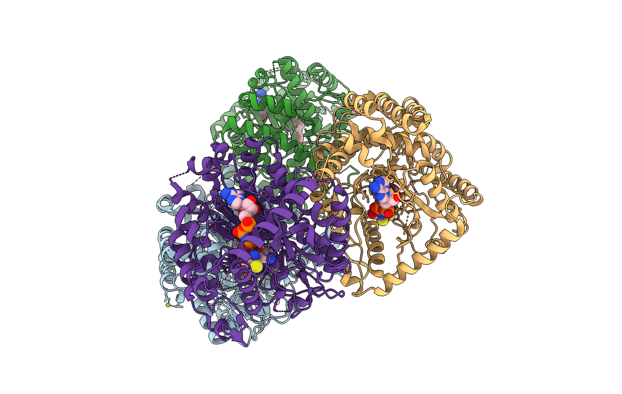 2D32 image