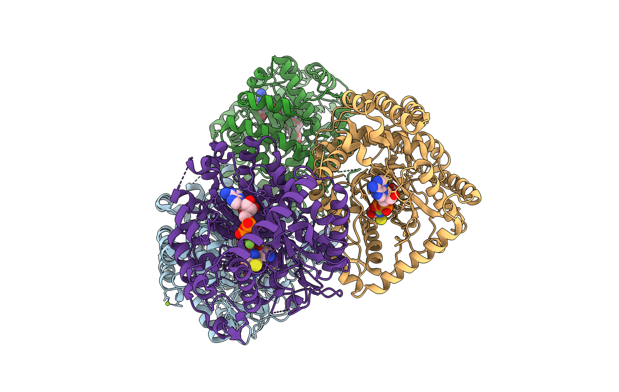 2D33 image