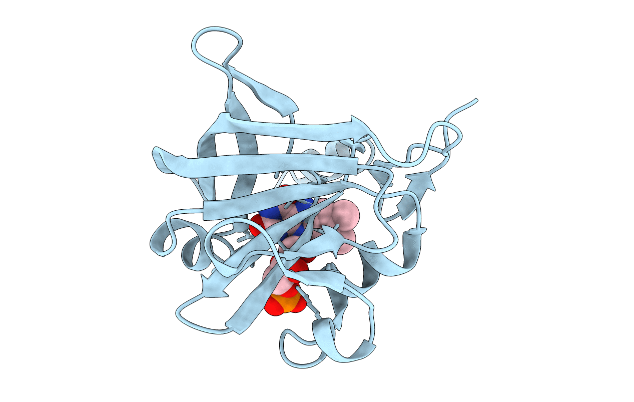 2D36 image