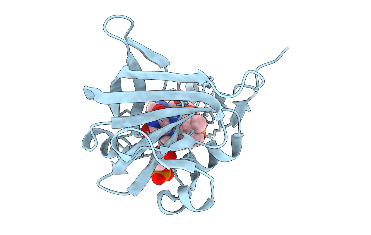 2D37 image