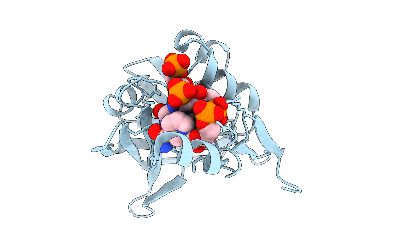 2D38 image
