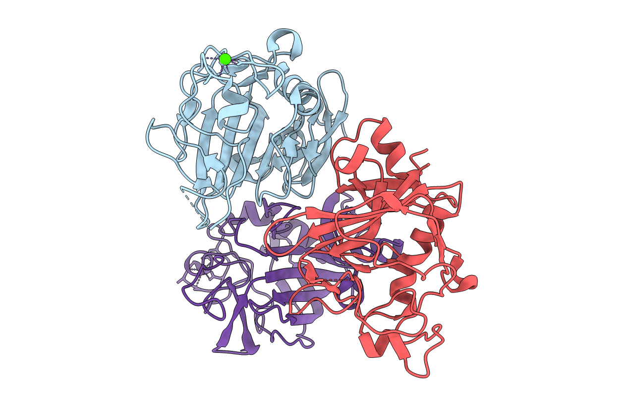 2D39 image