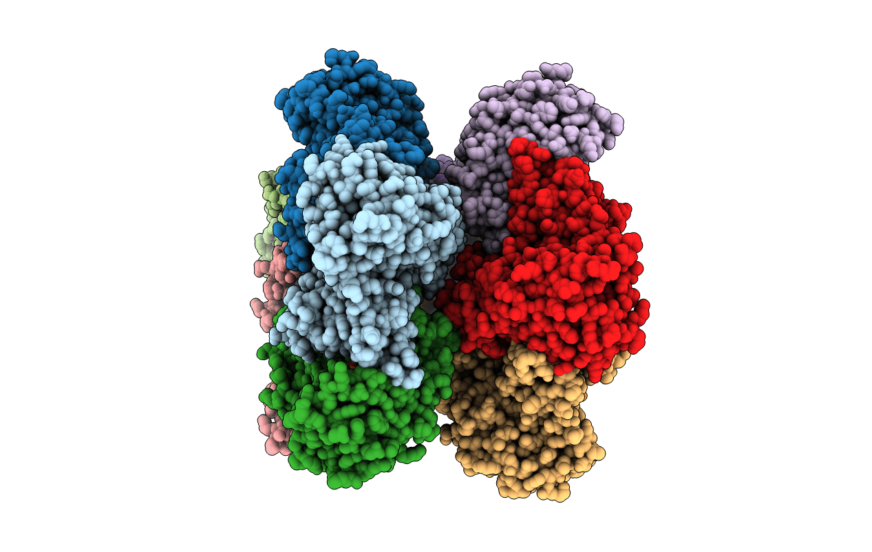 2D3B image