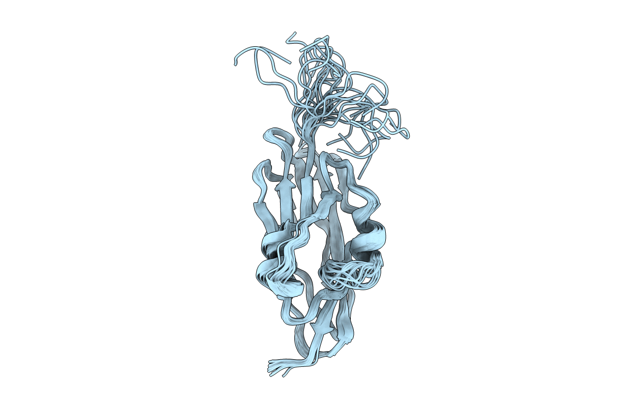 2D3J image