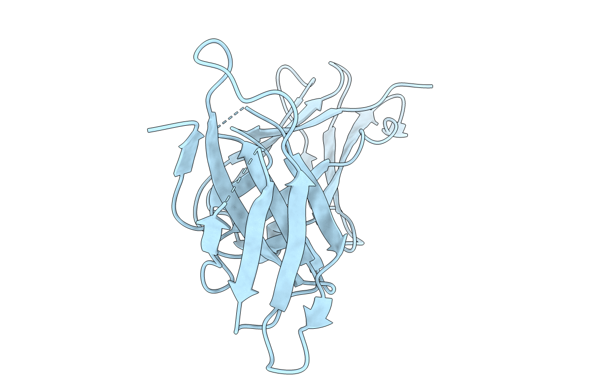2D3V image