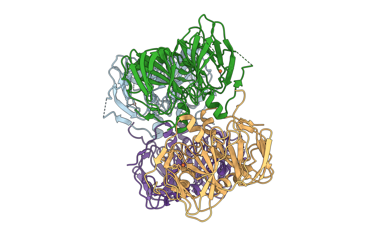 2D40 image