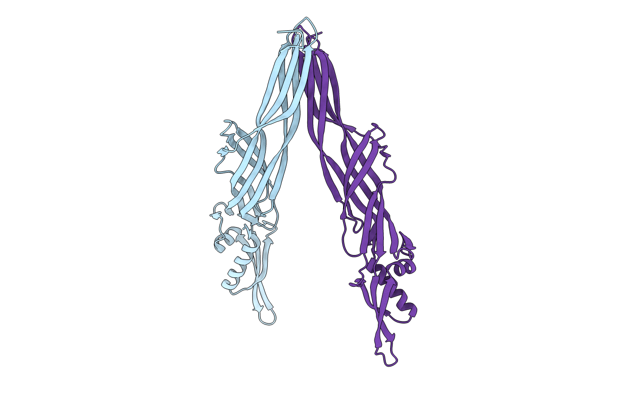 2D42 image