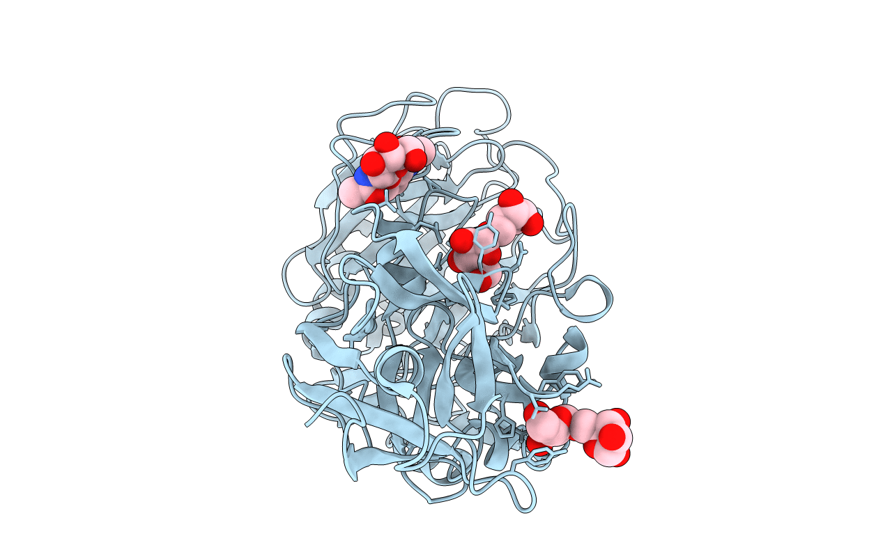 2D43 image