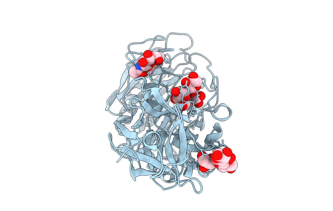 2D44 image