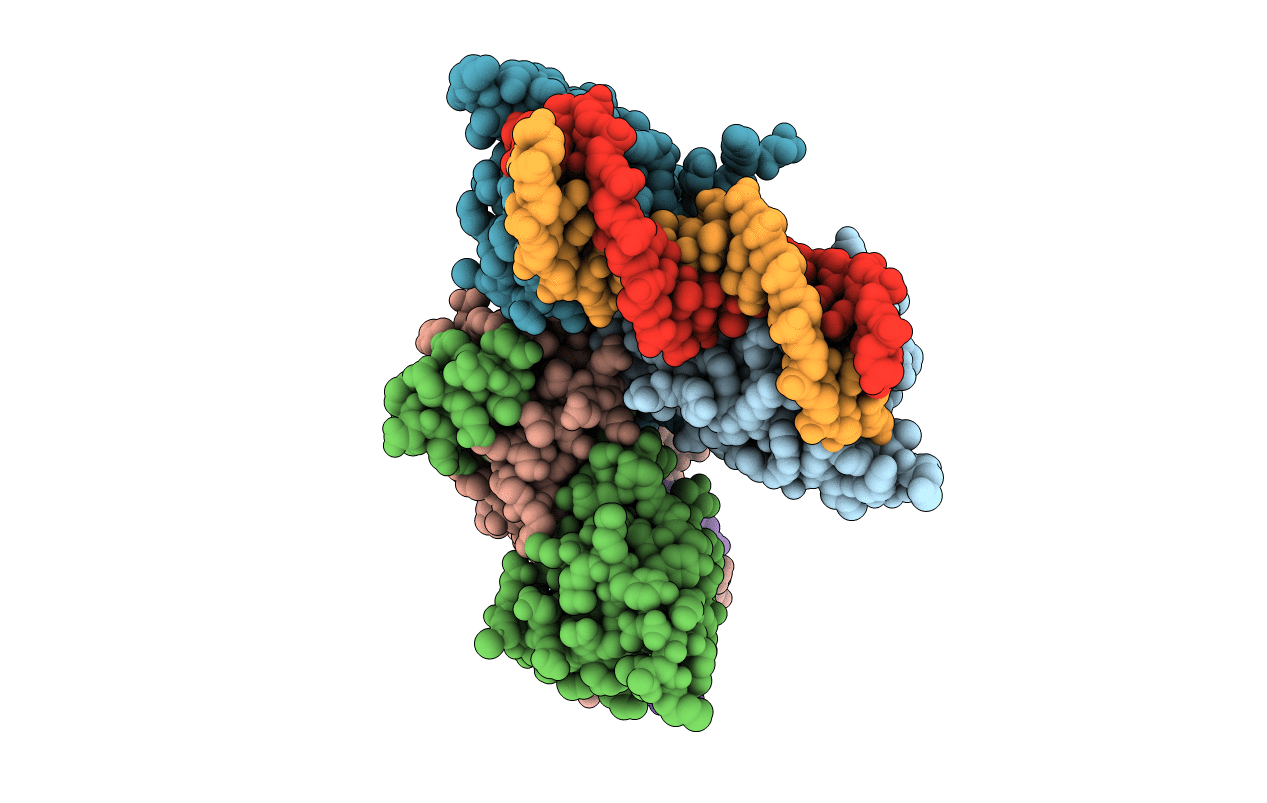 2D45 image