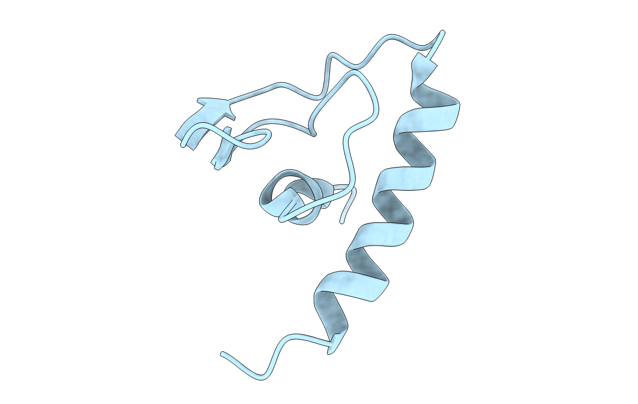 2D46 image