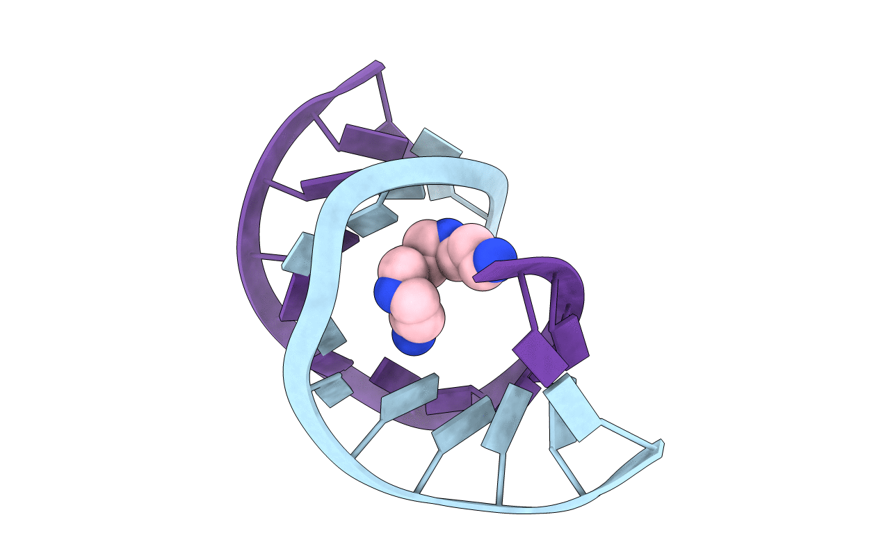 2D47 image