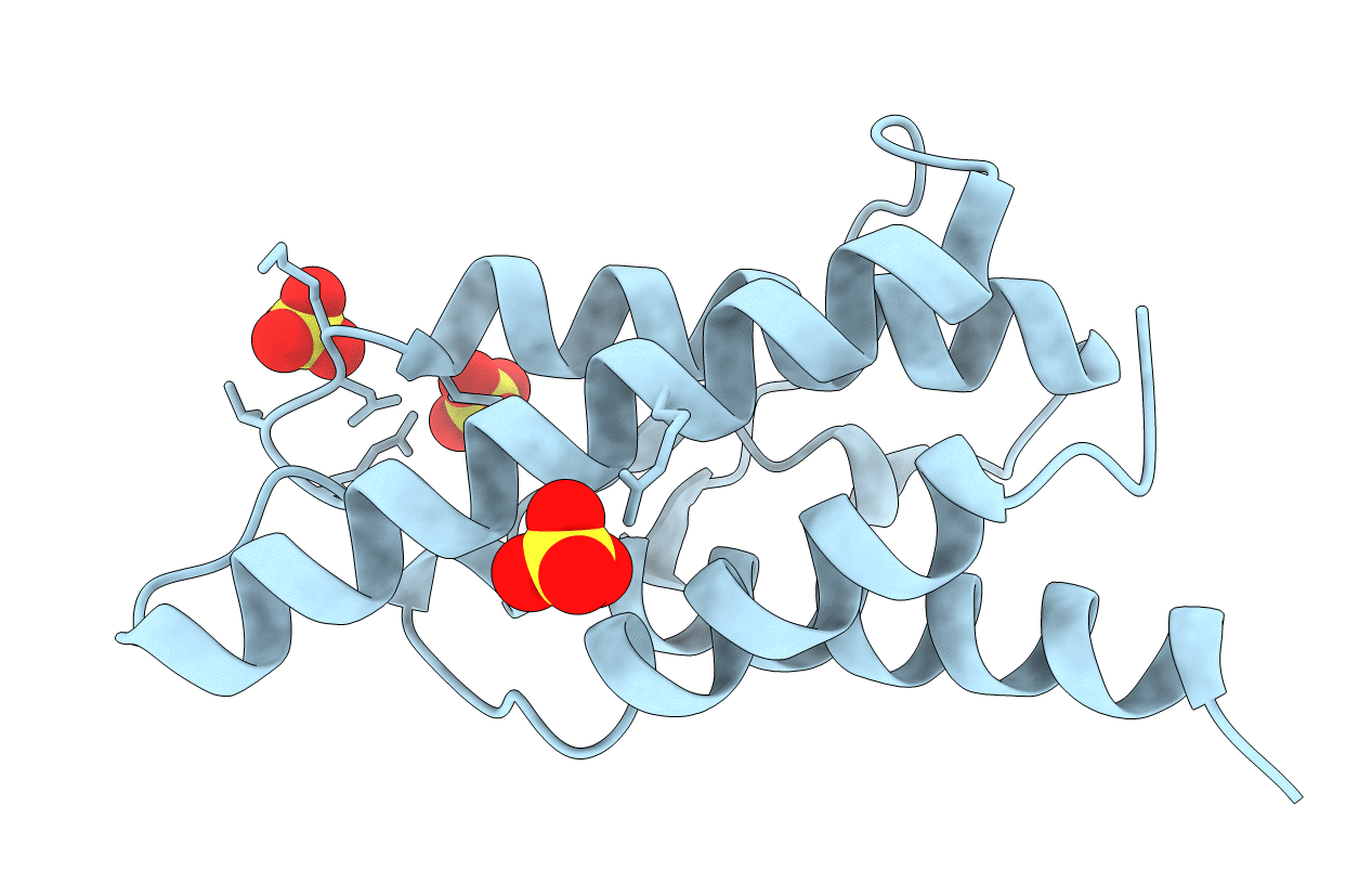 2D48 image