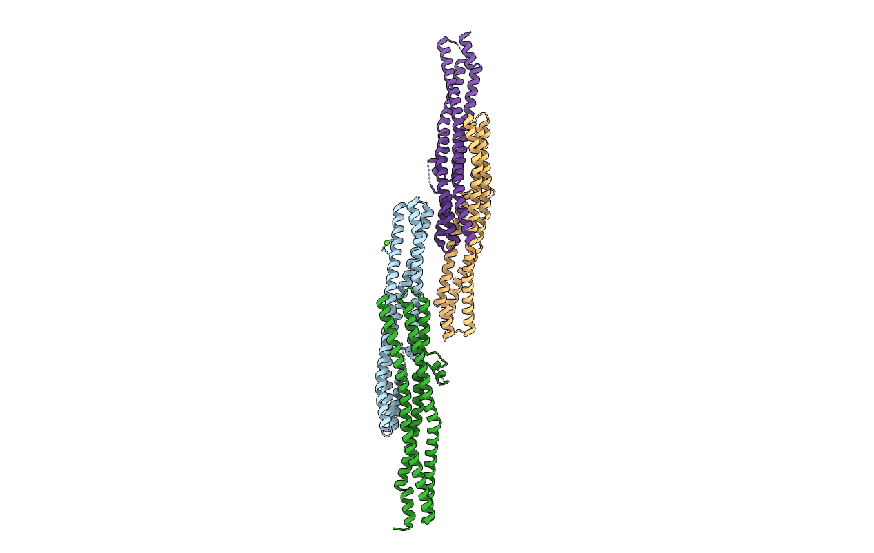 2D4C image