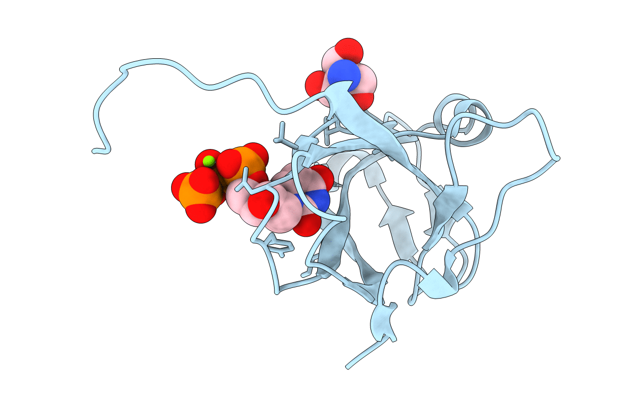 2D4N image