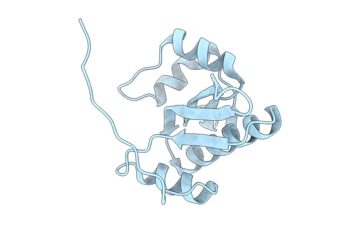 2D4P image