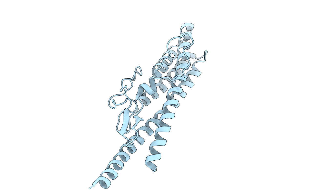 2D4X image