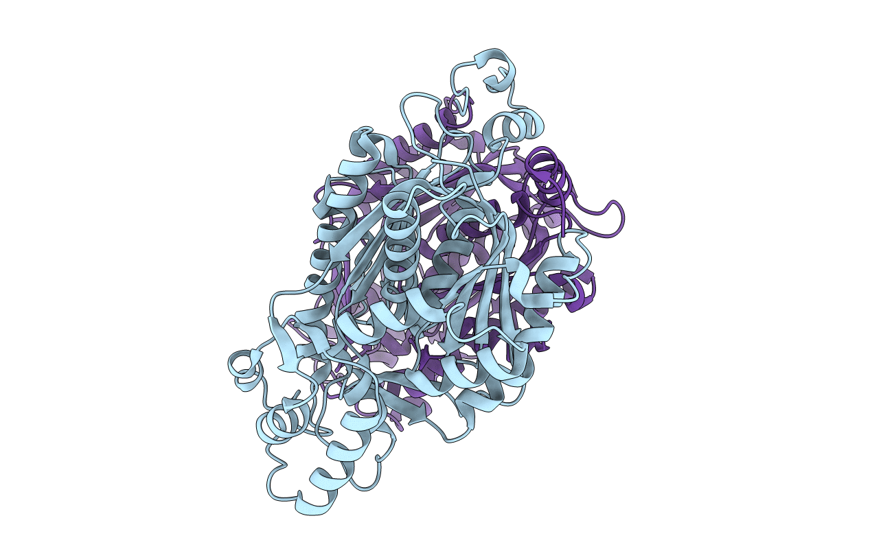 2D51 image