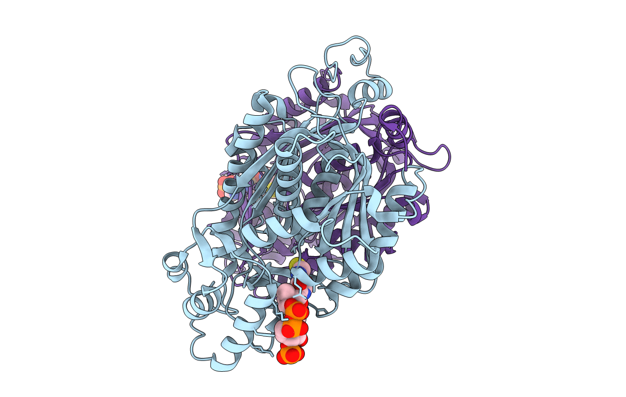 2D52 image
