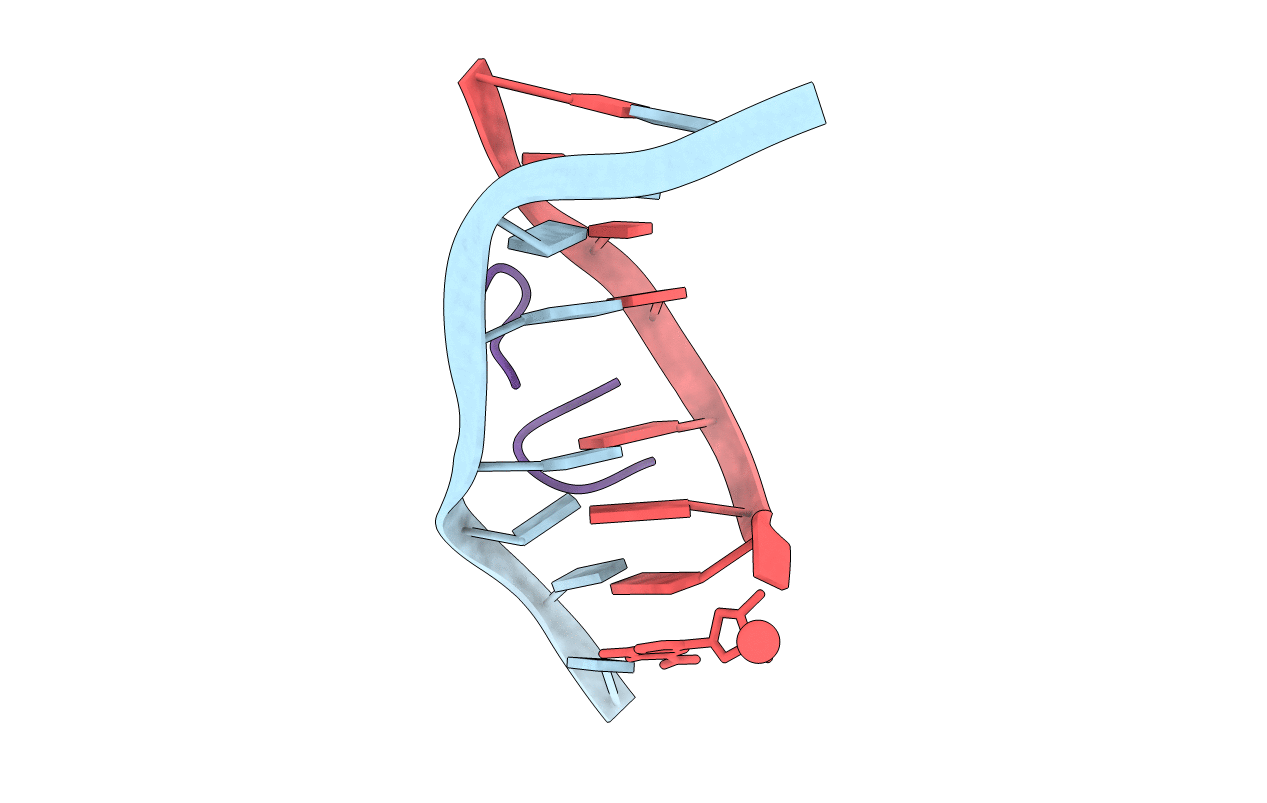 2D55 image