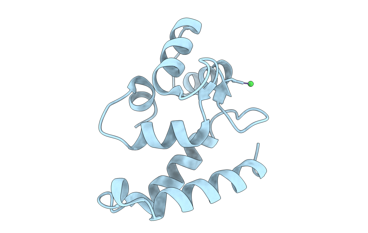 2D58 image