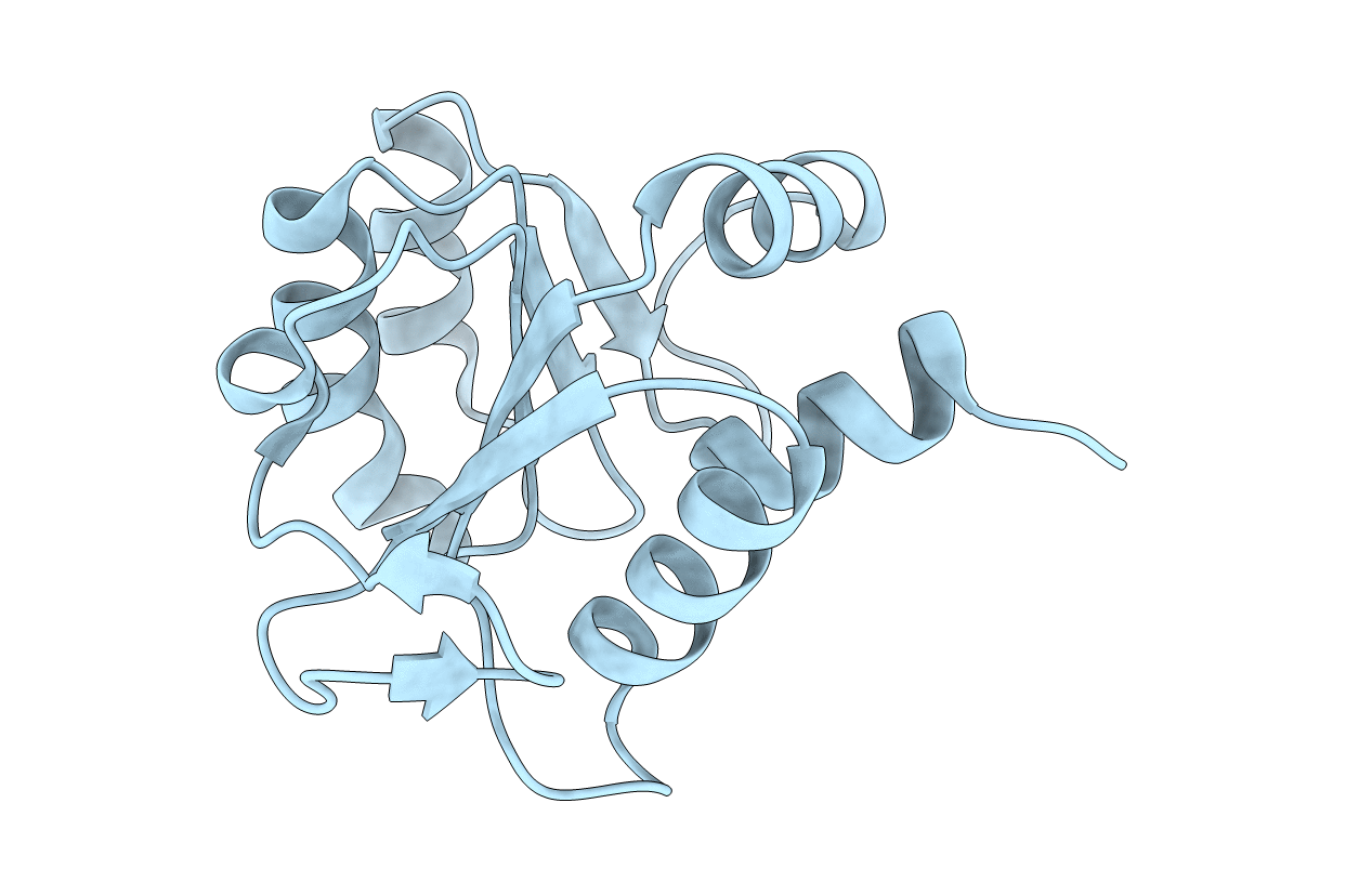 2D59 image