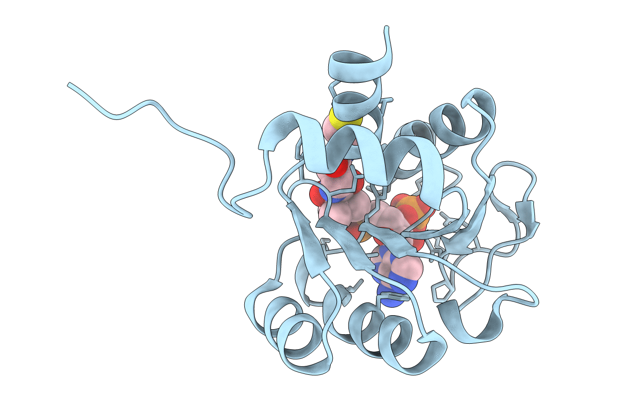2D5A image