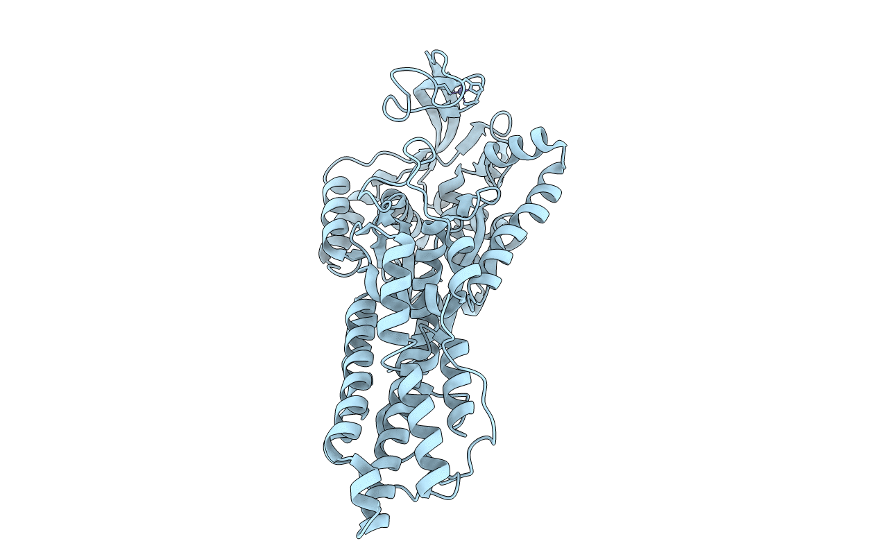 2D5B image