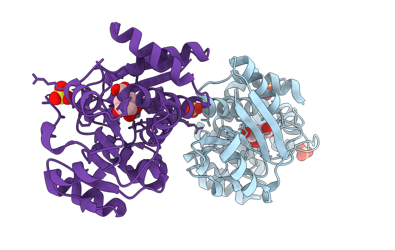 2D5C image