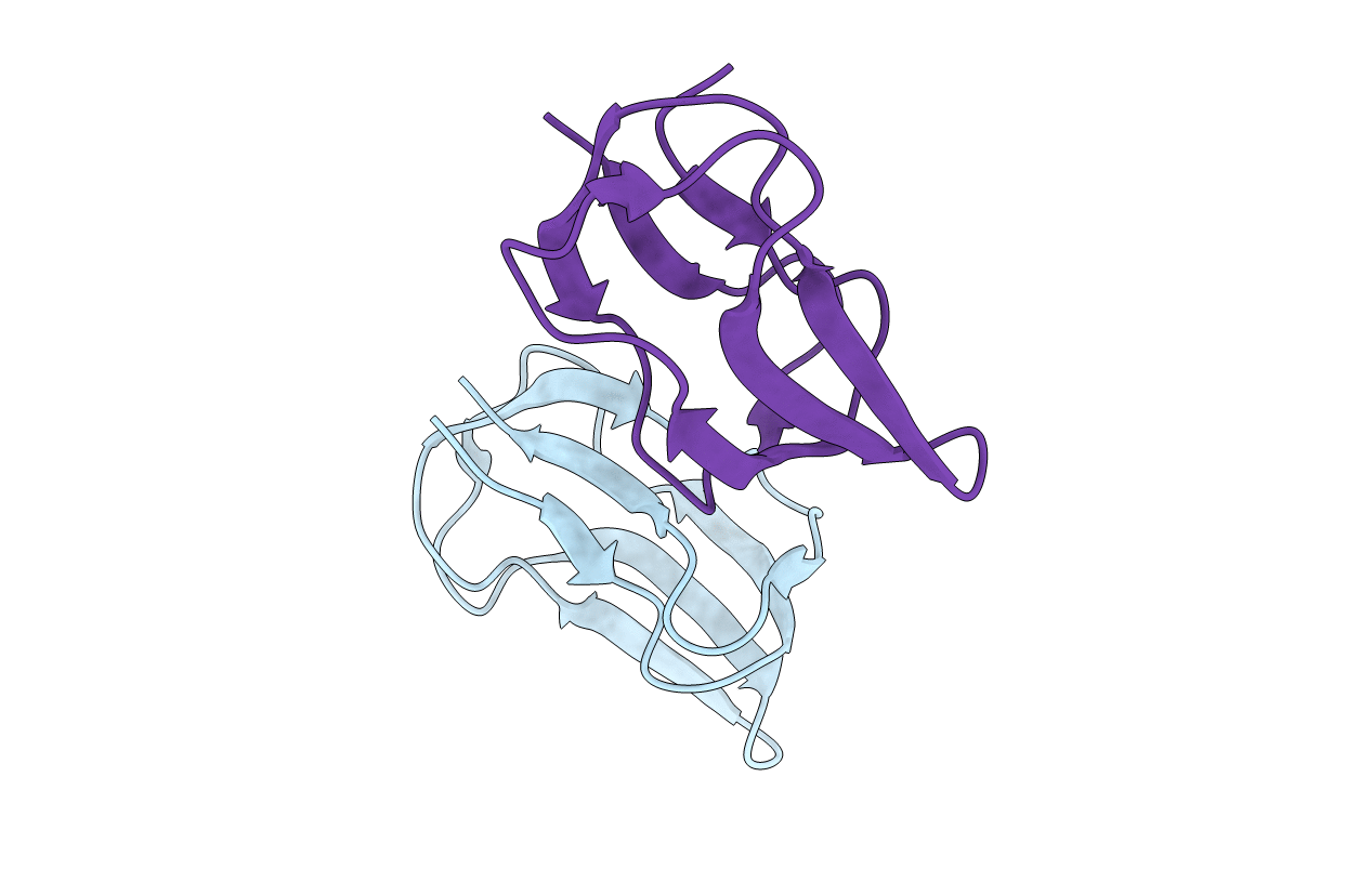 2D5D image