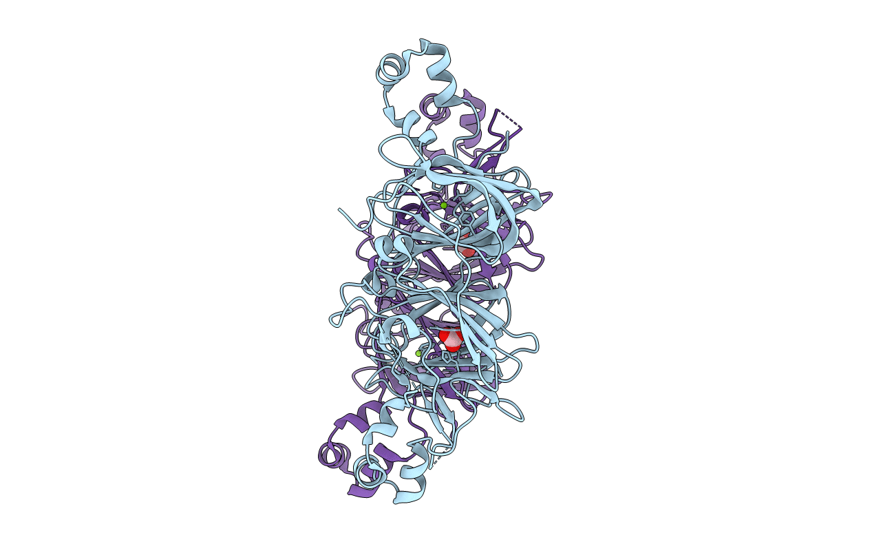2D5F image