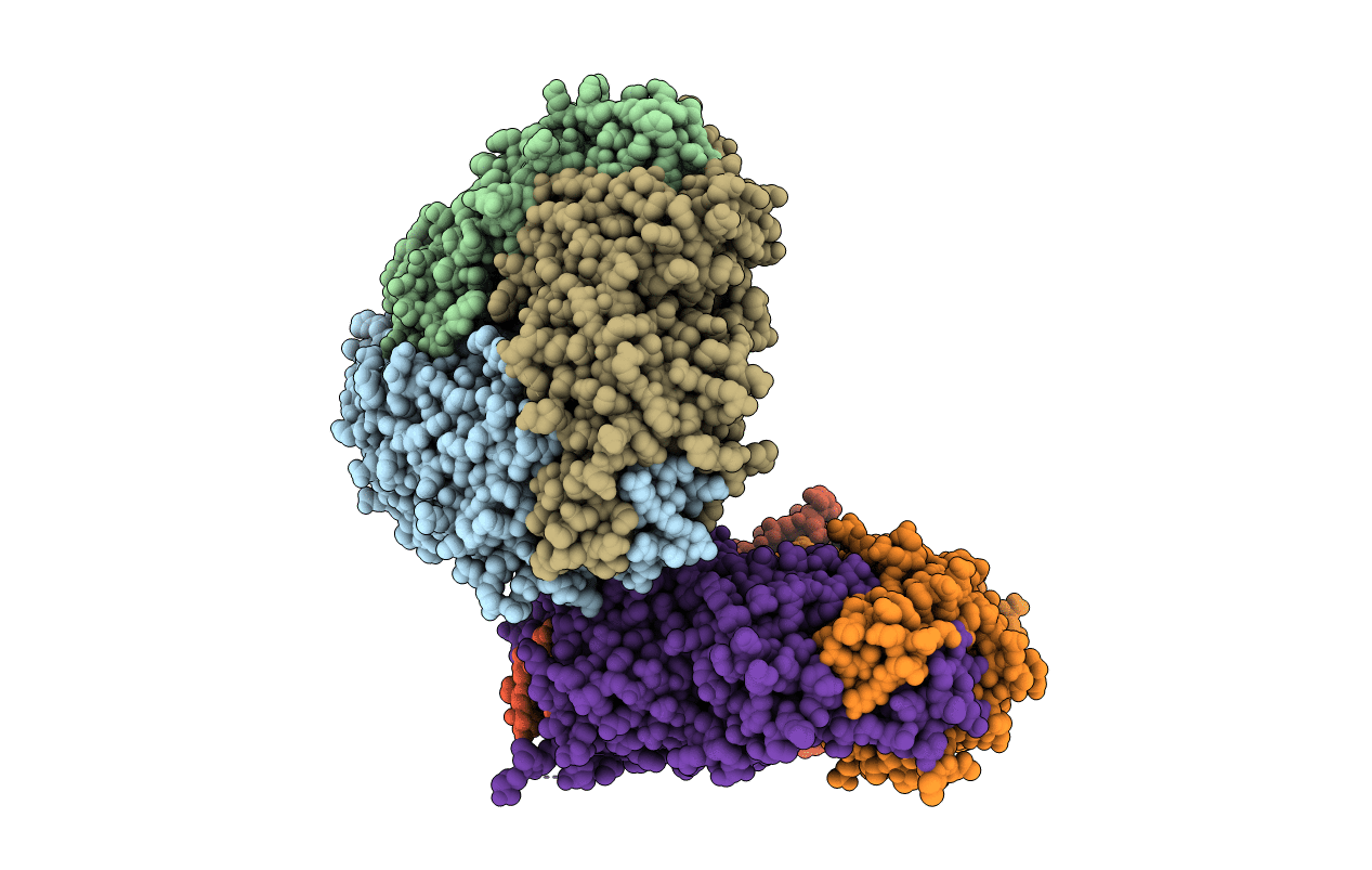 2D5H image