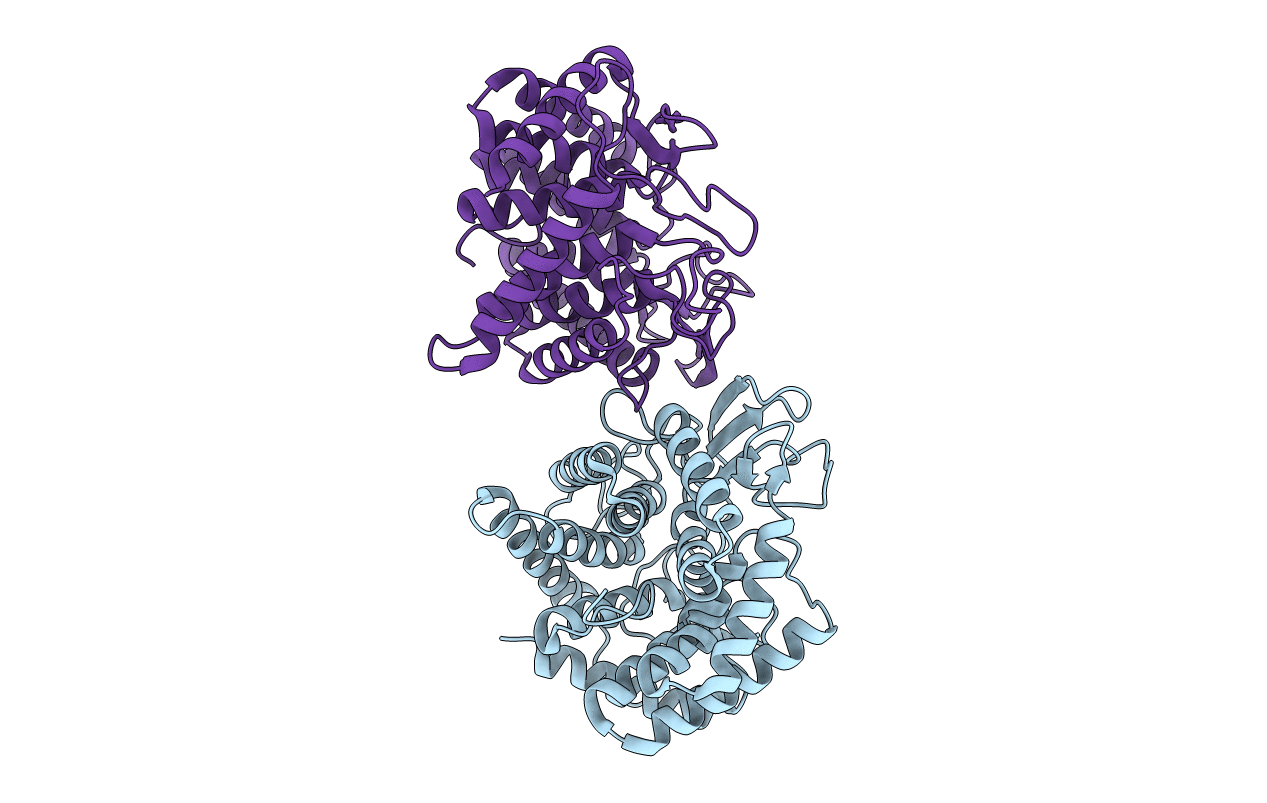 2D5J image