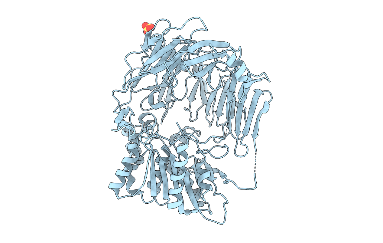 2D5L image