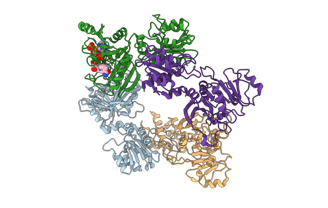 2D5N image