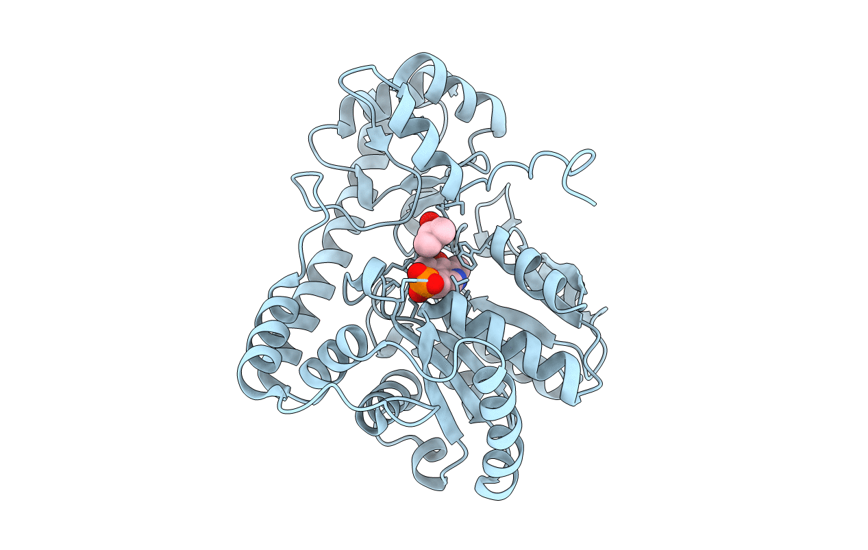 2D63 image