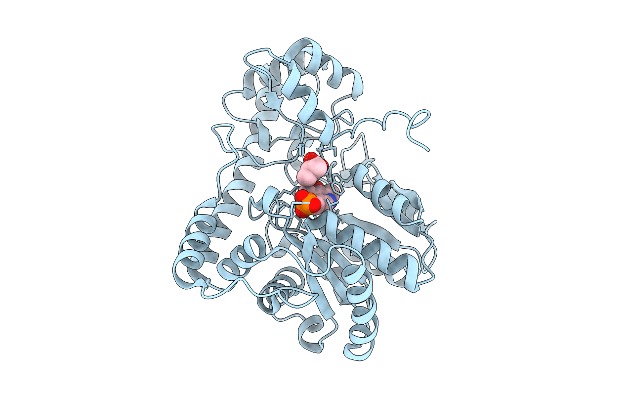 2D64 image