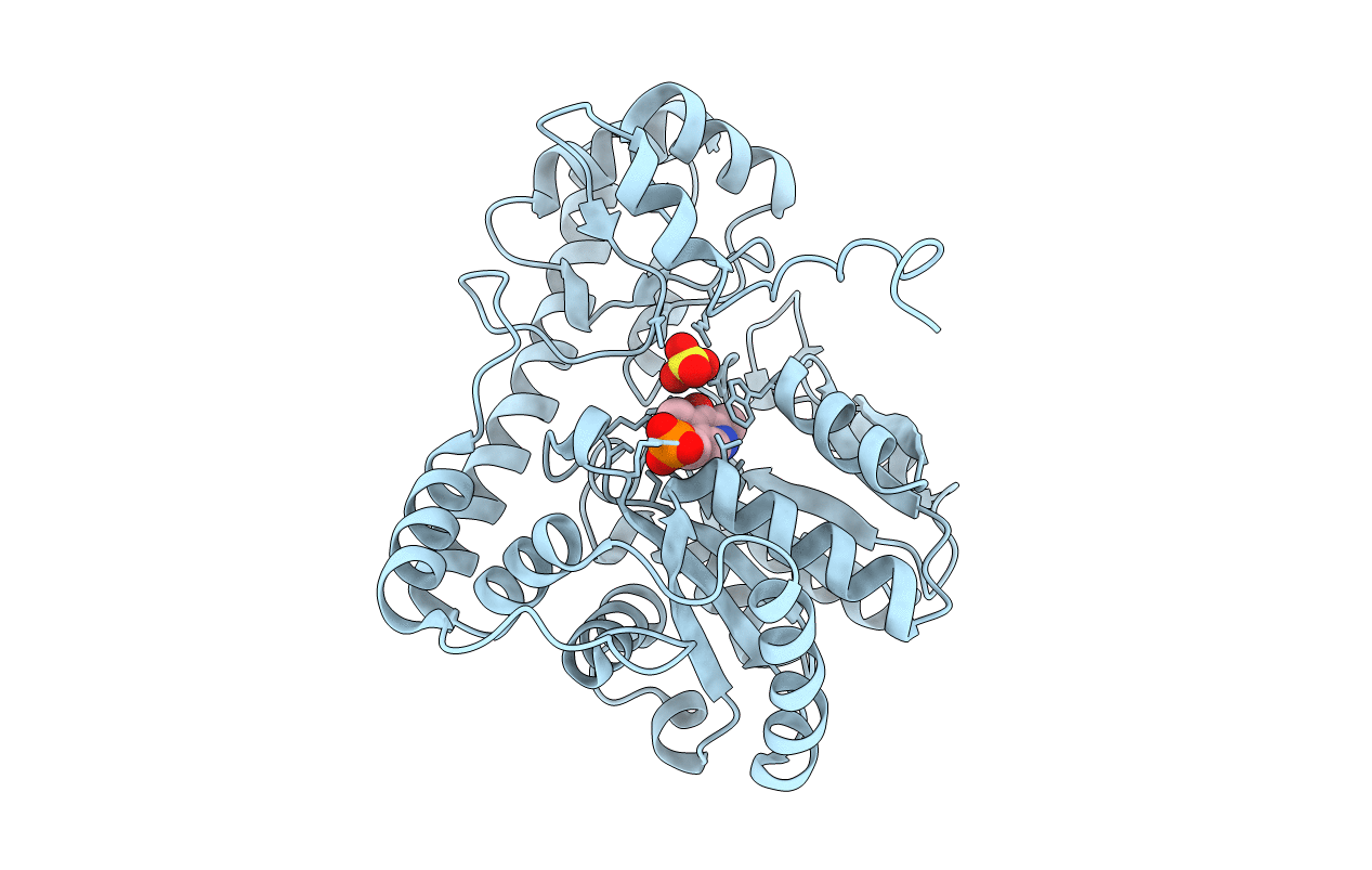 2D65 image