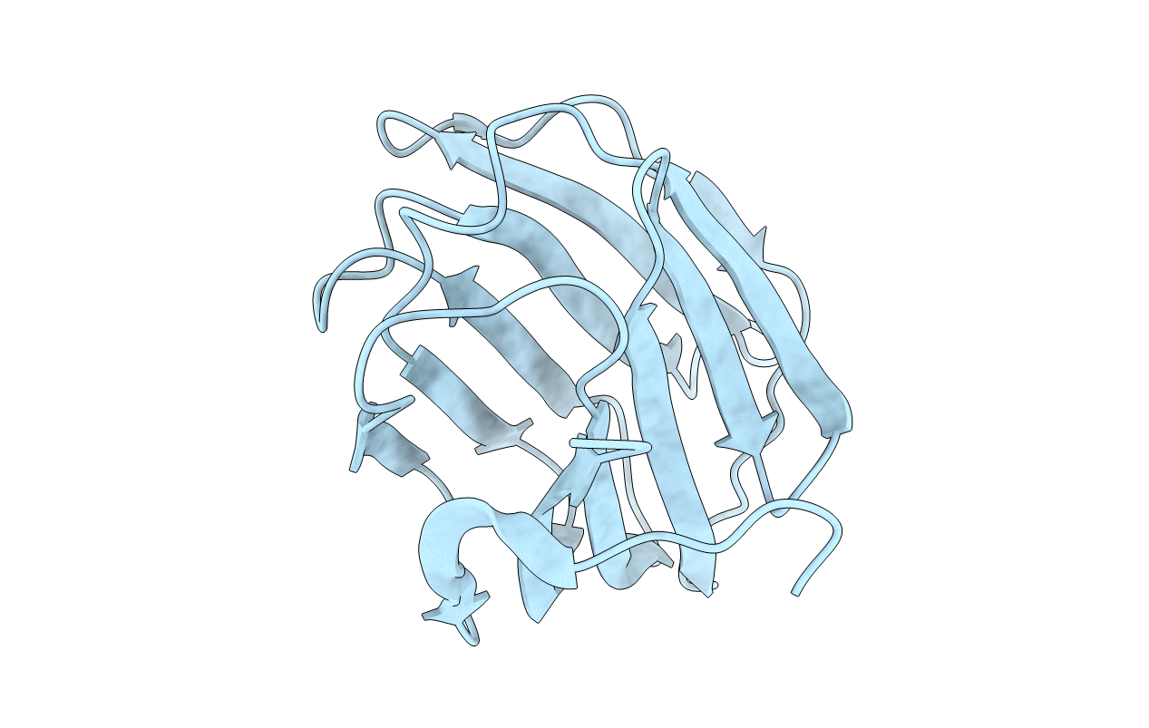 2D6L image
