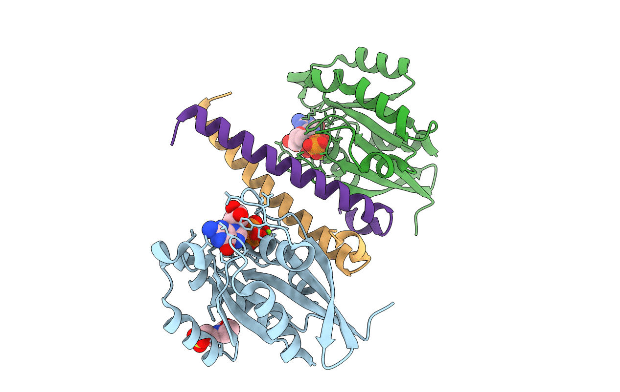 2D7C image