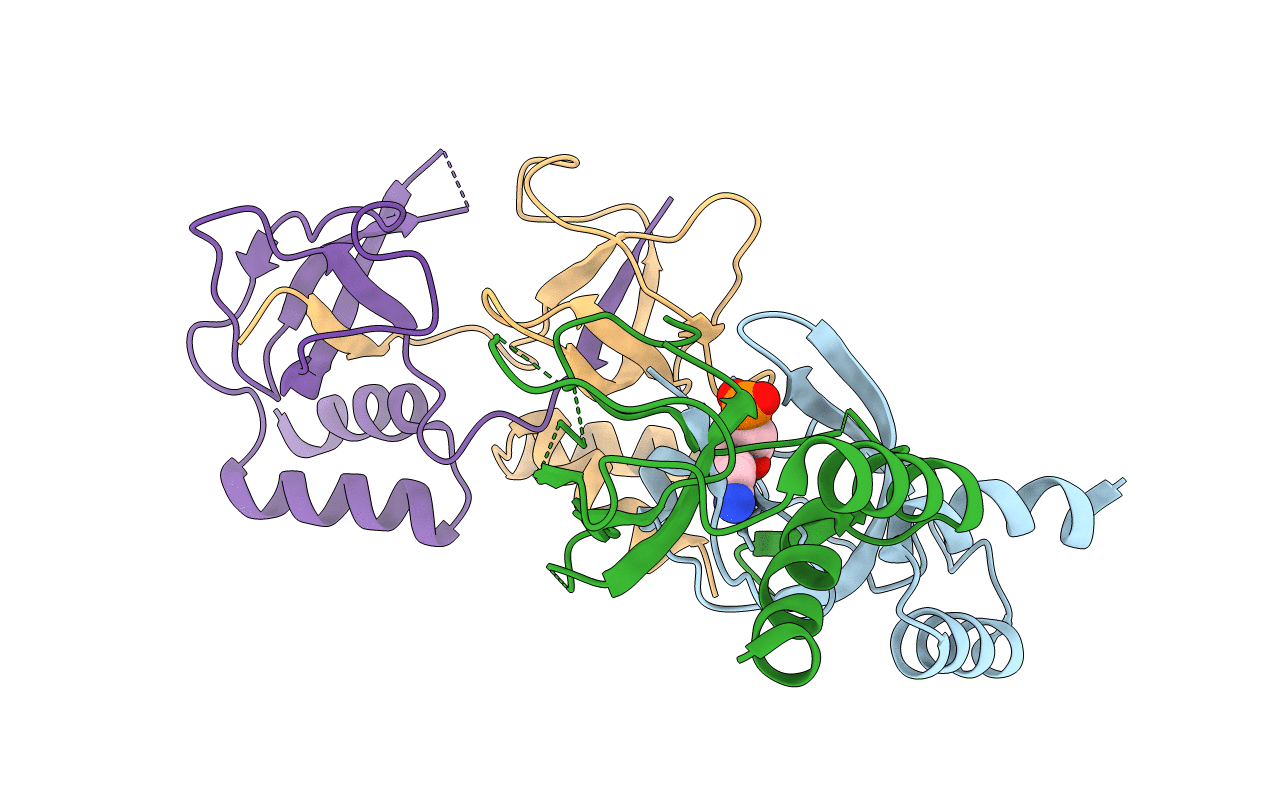 2D7H image