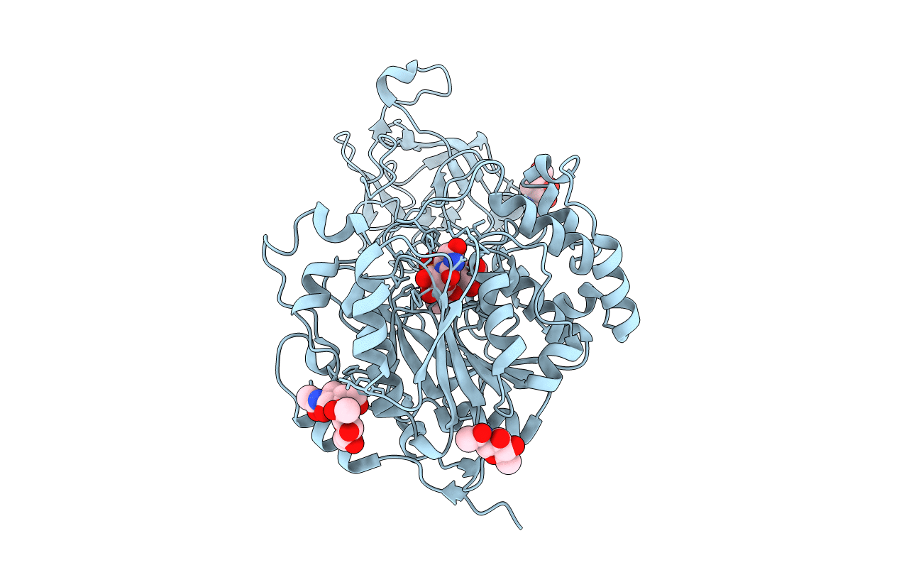 2D7I image