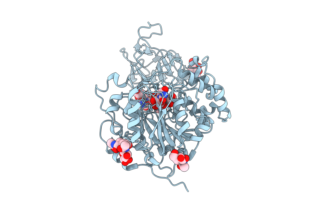 2D7R image