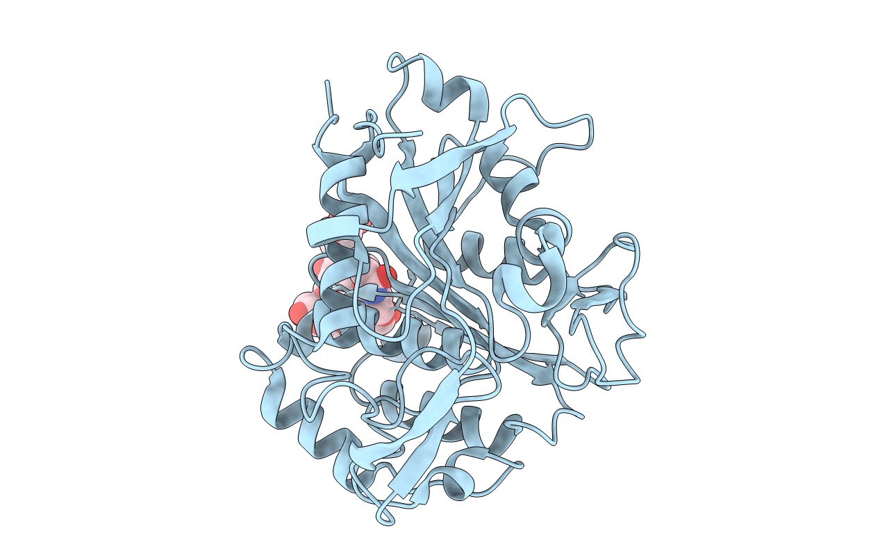 2D80 image