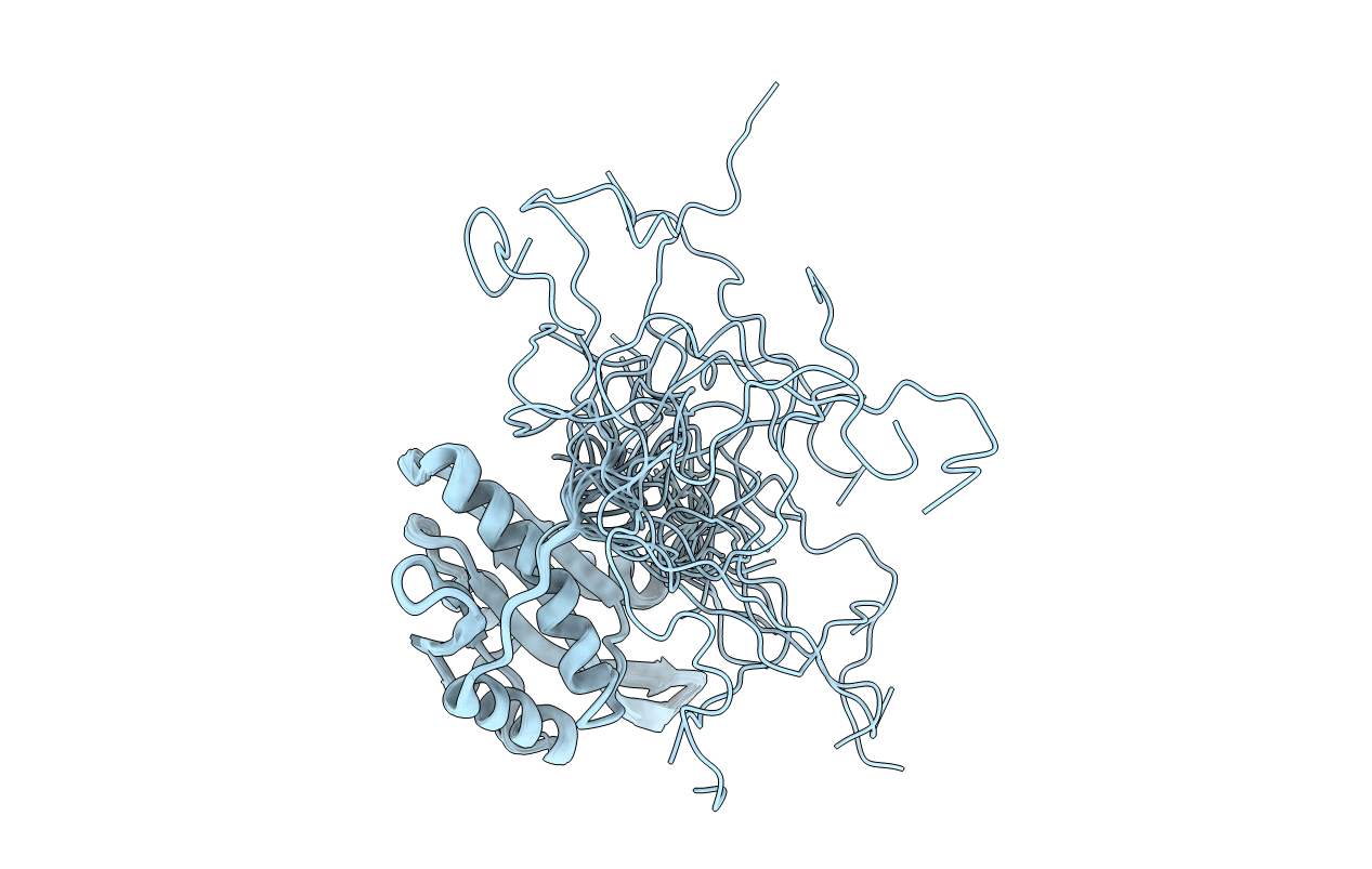 2D8B image
