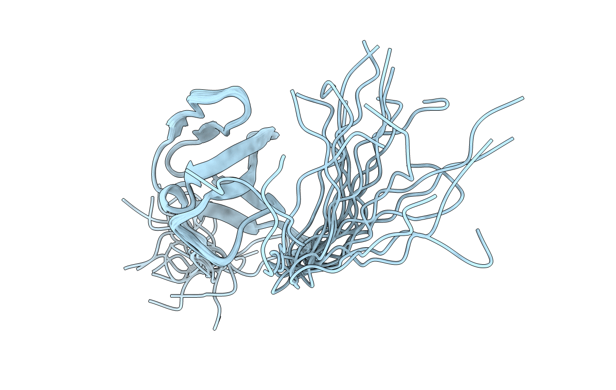 2D8H image